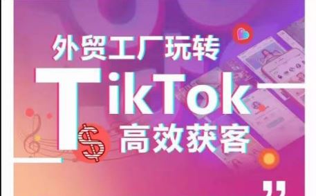 外贸工厂玩转TikTok高效获客，多种引流方式与账号定位技巧，拆解爆款短视频打造成功案例-占领资源网