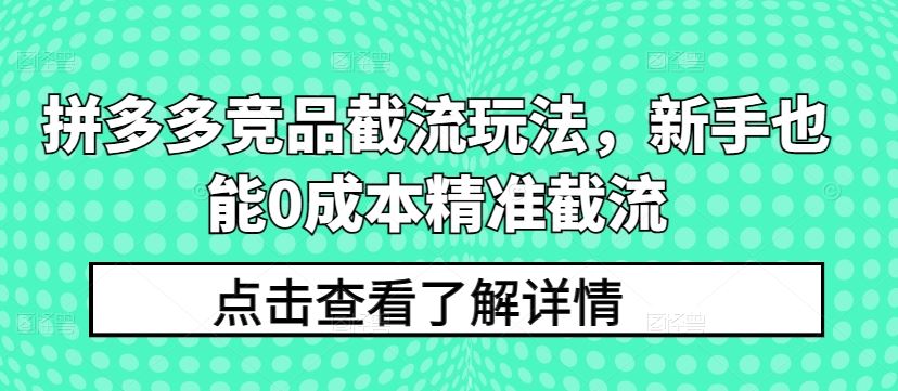 拼多多竞品截流玩法，新手也能0成本精准截流-占领资源网