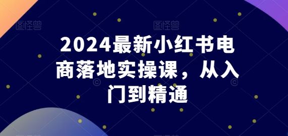 2024最新小红书电商落地实操课，从入门到精通-占领资源网