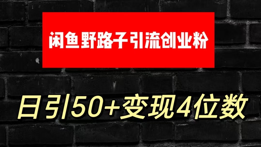 大眼闲鱼野路子引流创业粉，日引50+单日变现四位数-占领资源网