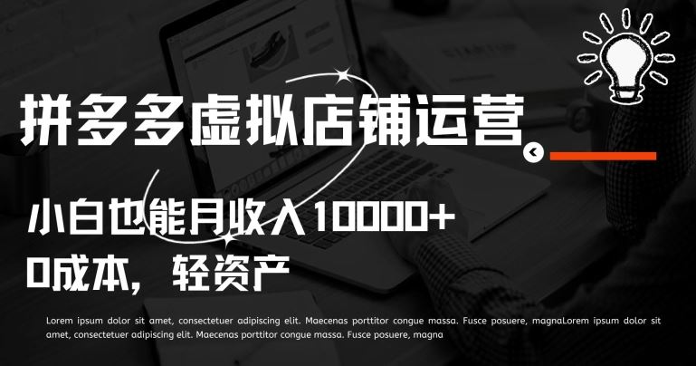 拼多多虚拟店铺运营小白也能月收入10000+【揭秘】-占领资源网