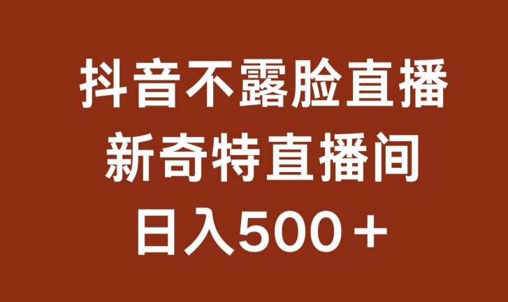 不露脸挂机直播，新奇特直播间，日入500+【揭秘】-占领资源网