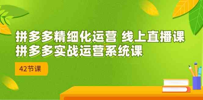 拼多多精细化运营 线上直播课：拼多多实战运营系统课（更新47节）-占领资源网