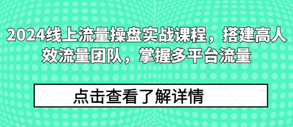 2024线上流量操盘实战课程，搭建高人效流量团队，掌握多平台流量-占领资源网