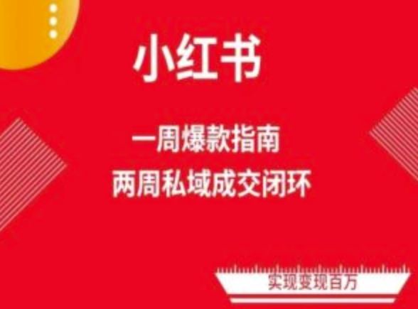 爆款小红书免费流量体系课程(两周变现)，小红书电商教程-占领资源网