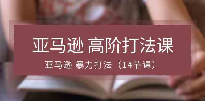 亚马逊高阶打法课，亚马逊暴力打法（14节课）-占领资源网