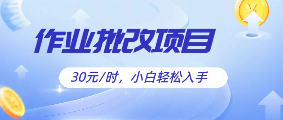 作业批改项目30元/时，简单小白轻松入手，非常适合兼职-占领资源网