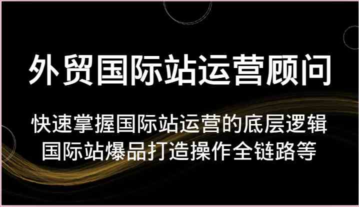 外贸国际站运营顾问-快速掌握国际站运营的底层逻辑，国际站爆品打造操作全链路等-占领资源网