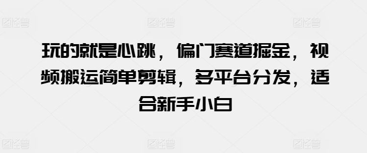 玩的就是心跳，偏门赛道掘金，视频搬运简单剪辑，多平台分发，适合新手小白【揭秘】-占领资源网
