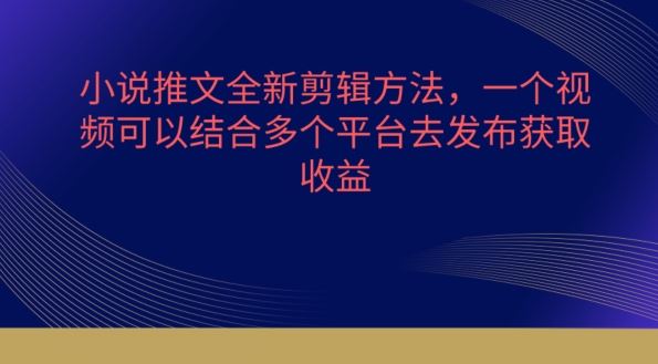 小说推文全新剪辑方法，一个视频可以结合多个平台去发布获取【揭秘】-占领资源网