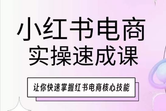 小红书电商实操速成课，让你快速掌握红书电商核心技能-占领资源网