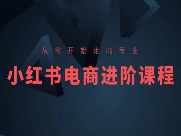 从零开始走向专业，小红书电商进阶课程-占领资源网