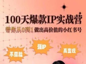 小红书100天爆款IP实战营，带你从0到1做出高价值的小红书号-占领资源网