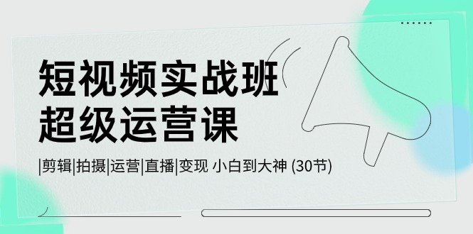 短视频实战班超级运营课 |剪辑|拍摄|运营|直播|变现 小白到大神 (30节)-占领资源网