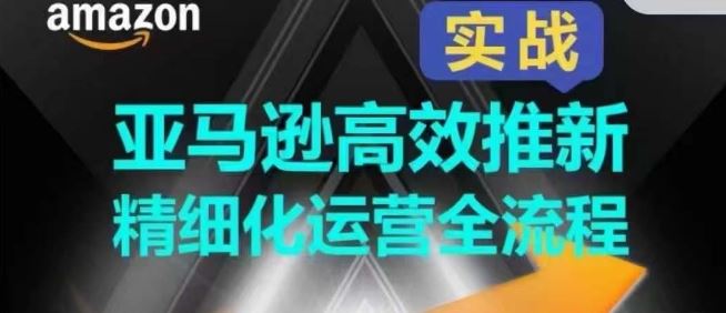 亚马逊高效推新精细化运营全流程，全方位、快速拉升产品排名和销量!-占领资源网