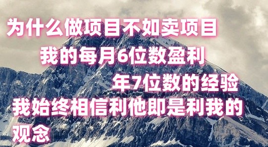 做项目不如卖项目，每月6位数盈利，年7位数经验-占领资源网