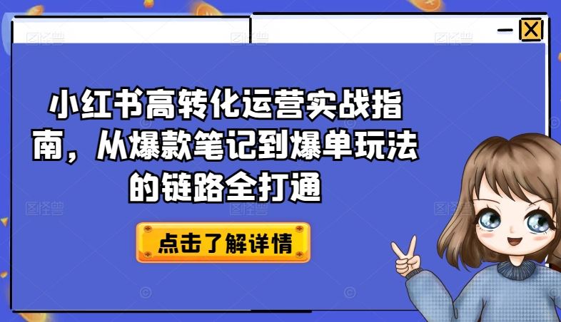小红书高转化运营实战指南，从爆款笔记到爆单玩法的链路全打通-占领资源网