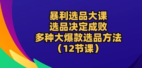 暴利选品大课：选品决定成败，教你多种大爆款选品方法(12节课)-占领资源网