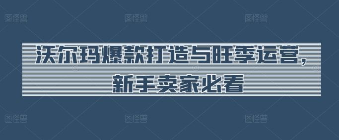 沃尔玛爆款打造与旺季运营，新手卖家必看-占领资源网