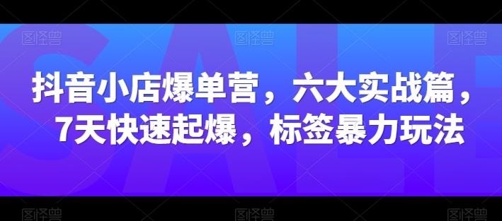 抖音小店爆单营，六大实战篇，7天快速起爆，标签暴力玩法-占领资源网