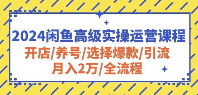 2024闲鱼高级实操运营课程：开店/养号/选择爆款/引流/月入2万/全流程-占领资源网