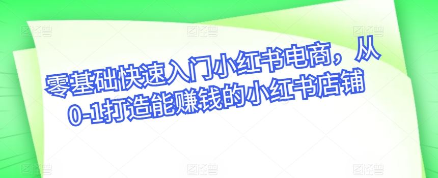 零基础快速入门小红书电商，从0-1打造能赚钱的小红书店铺-占领资源网