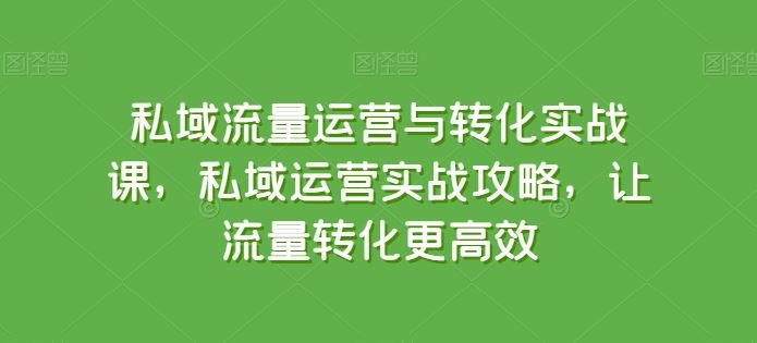 私域流量运营与转化实战课，私域运营实战攻略，让流量转化更高效-占领资源网