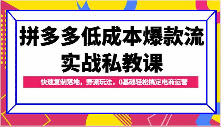 拼多多低成本爆款流实战私教课，快速复制落地，野派玩法，0基础轻松搞定电商运营-占领资源网