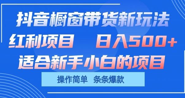 抖音橱窗带货新玩法，单日收益几张，操作简单，条条爆款【揭秘】-占领资源网