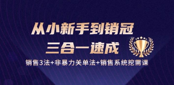 从小新手到销冠 三合一速成：销售3法+非暴力关单法+销售系统挖需课 (27节)-占领资源网