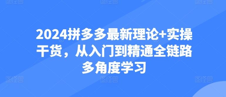 2024拼多多最新理论+实操干货，从入门到精通全链路多角度学习-占领资源网
