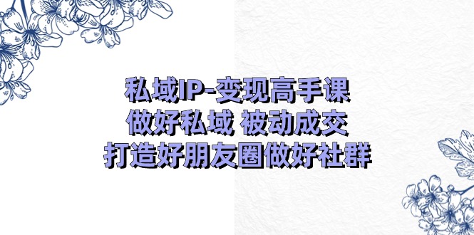 私域IP变现高手课：做好私域被动成交，打造好朋友圈做好社群（18节）-占领资源网