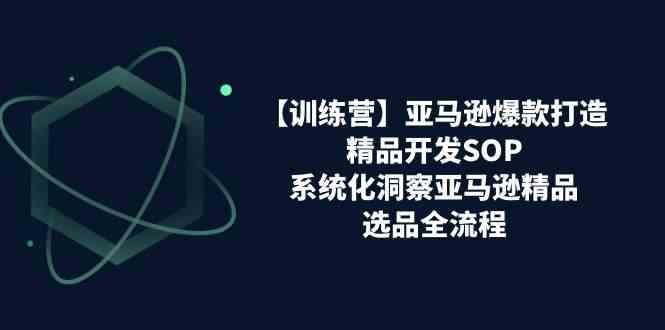 亚马逊爆款打造之精品开发SOP【训练营】，系统化洞察亚马逊精品选品全流程-占领资源网