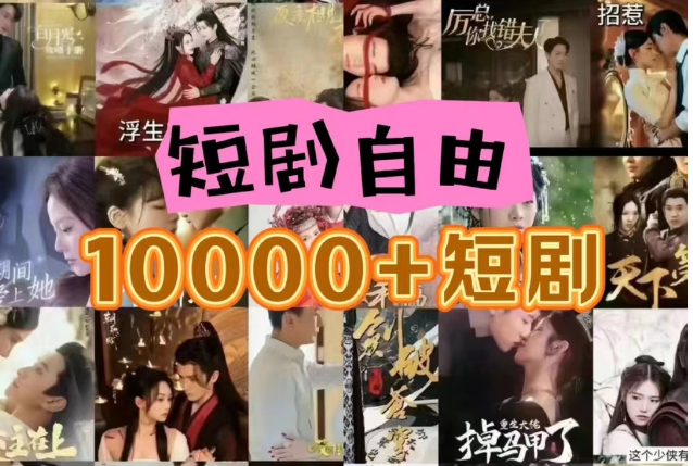 打造完全属于自己的个人短剧库，实现网盘拉新与私域变现的完美融合！-占领资源网