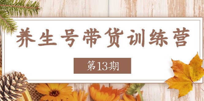 养生号带货训练营【第13期】收益更稳定的玩法，让你带货收益爆炸-占领资源网