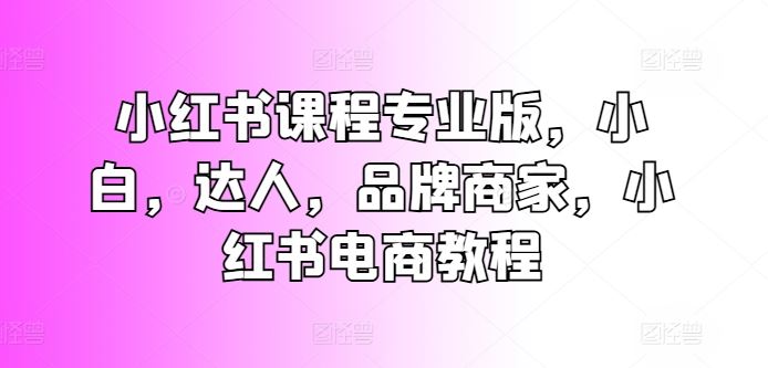 小红书课程专业版，小白，达人，品牌商家，小红书电商教程-占领资源网