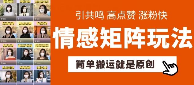 简单搬运，情感矩阵玩法，涨粉速度快，可带货，可起号【揭秘】-占领资源网