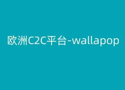 欧洲C2C平台-wallapop-kim跨境电商教程-占领资源网