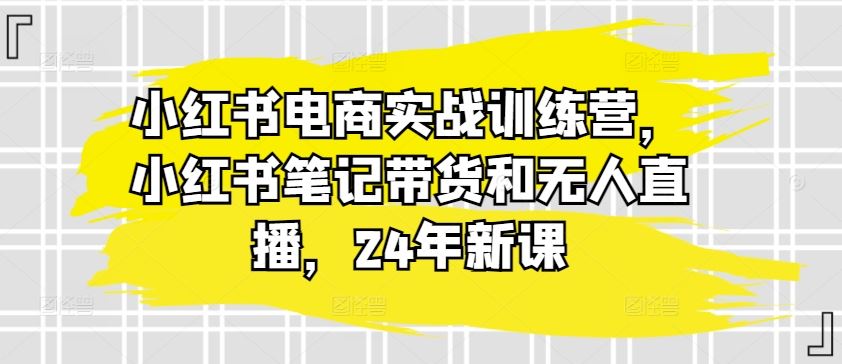 小红书电商实战训练营，小红书笔记带货和无人直播，24年新课-占领资源网