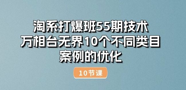 淘系打爆班55期技术：万相台无界10个不同类目案例的优化(10节)-占领资源网