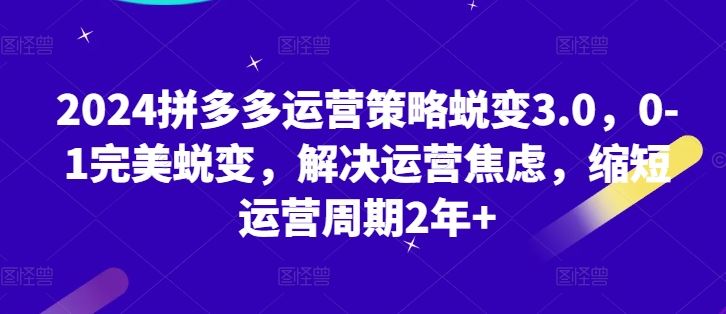 2024拼多多运营策略蜕变3.0，0-1完美蜕变，解决运营焦虑，缩短运营周期2年+-占领资源网
