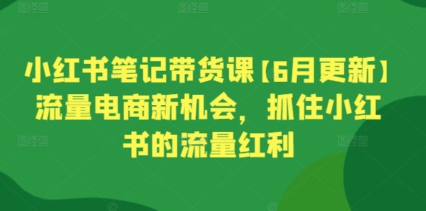 小红书笔记带货课【6月更新】流量电商新机会，抓住小红书的流量红利-占领资源网