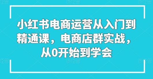 小红书电商运营从入门到精通课，电商店群实战，从0开始到学会-占领资源网