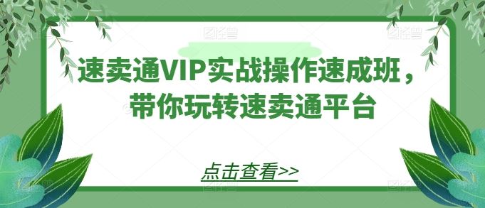 速卖通VIP实战操作速成班，带你玩转速卖通平台-占领资源网