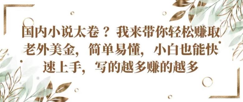 国内小说太卷 ?带你轻松赚取老外美金，简单易懂，小白也能快速上手，写的越多赚的越多【揭秘】-占领资源网