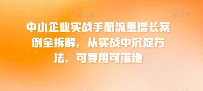 中小企业实战手册流量增长案例全拆解，从实战中沉淀方法，可复用可落地-占领资源网