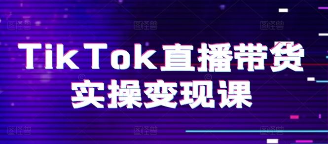 TikTok直播带货实操变现课：系统起号、科学复盘、变现链路、直播配置、小店操作流程、团队搭建等。-占领资源网