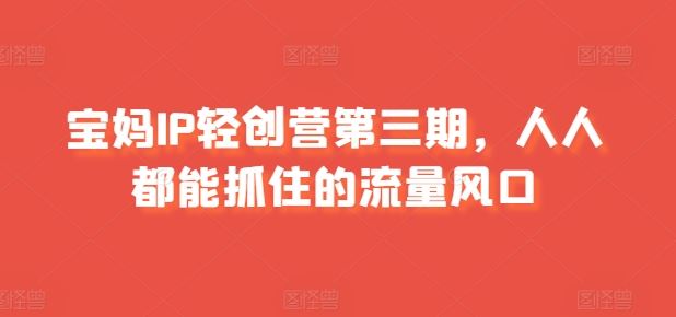 宝妈IP轻创营第三期，人人都能抓住的流量风口-占领资源网