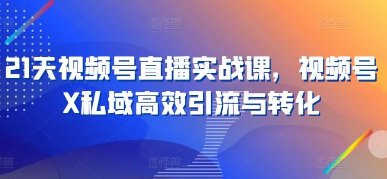21天视频号直播实战课，视频号X私域高效引流与转化-占领资源网