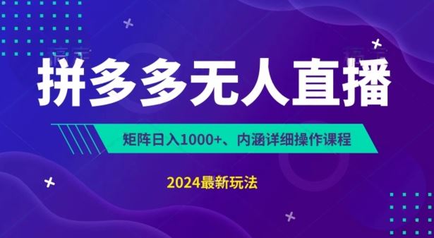 拼多多无人直播不封号，0投入，3天必起，无脑挂机，日入1k+【揭秘】-占领资源网